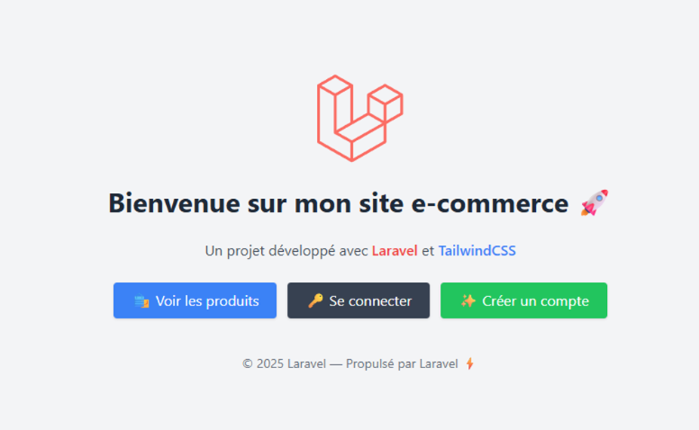 Capture d'écran du site E-commerce